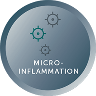 Micro Inflammation